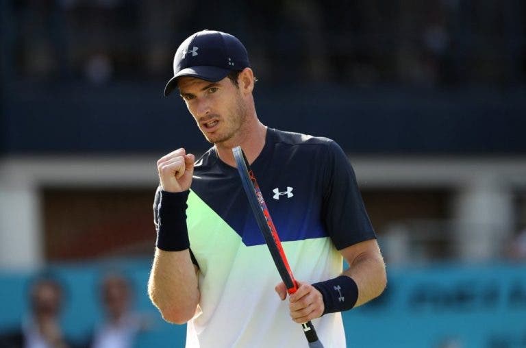 Murray: «Estou a 85 ou 90% a nível físico, preciso de muito treino para começar 2019 o mais forte possível»