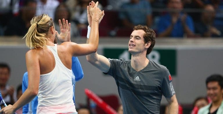 Murray não entende a intenção da HEAD em renovar com Sharapova