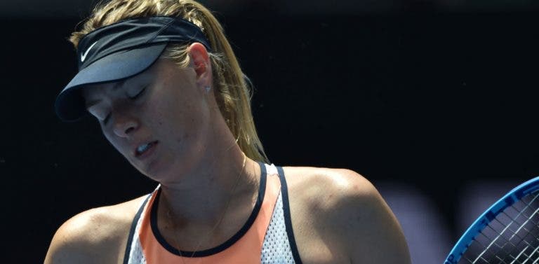 Martina Navratilova e Chris Evert defendem redução da pena de Sharapova