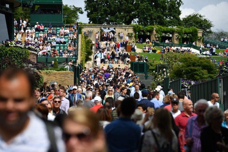 Há 10 estatísticas sobre Wimbledon que tem de conhecer