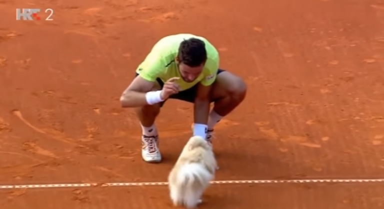 [VÍDEO] Vesely ganha em Umag e festeja… com o cão!
