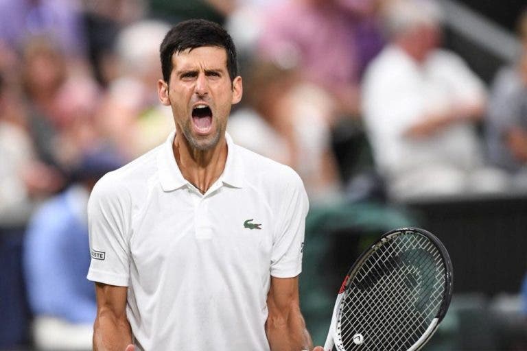 Martin: «Djokovic é o tenista mais talentoso do Mundo»