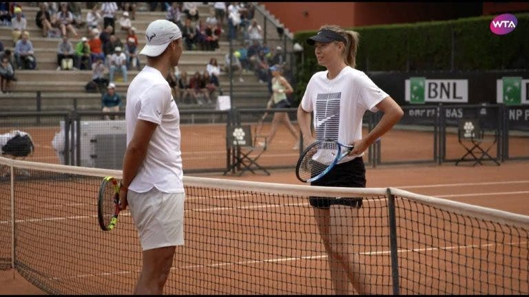 Nadal, Sharapova ou Halep: quem ganha mais na Nike?