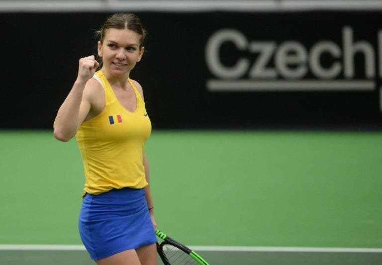 Halep coloca Fed Cup no mesmo patamar dos Grand Slams