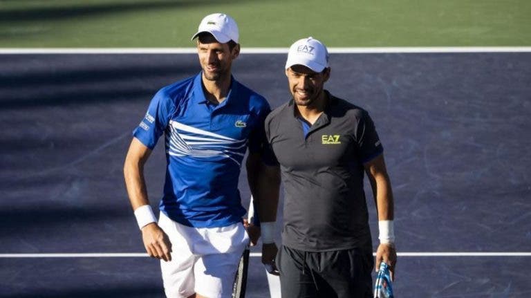 Fognini: «Djokovic tem muitas possibilidades de ser o tenista com mais Grand Slams»