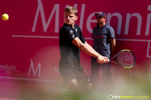 David-Goffin