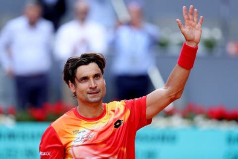 david-ferrer