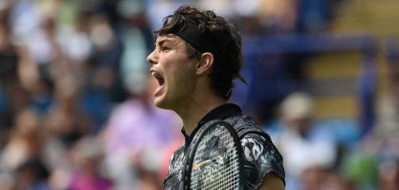 Fritz e Querrey jogam final cem por cento americana em Eastbourne