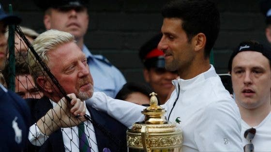 Becker: «O público não festejou a vitória do Djokovic por estar a sentir a derrota de Federer»