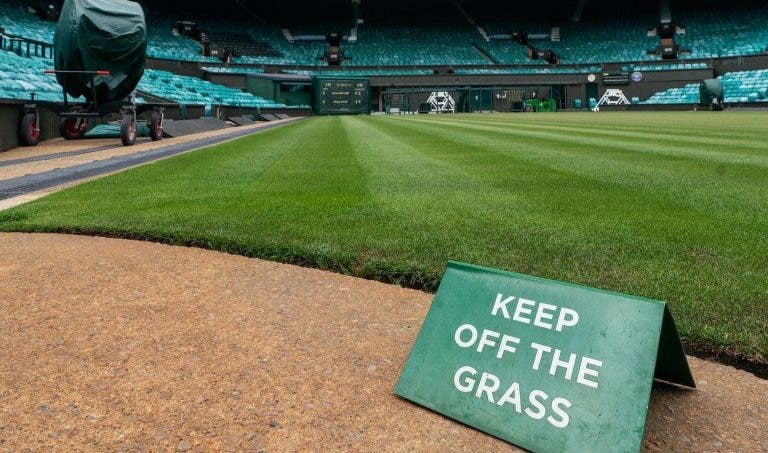 Wimbledon: conhecida a lista, com Nuno Borges confirmado e um regresso esperado