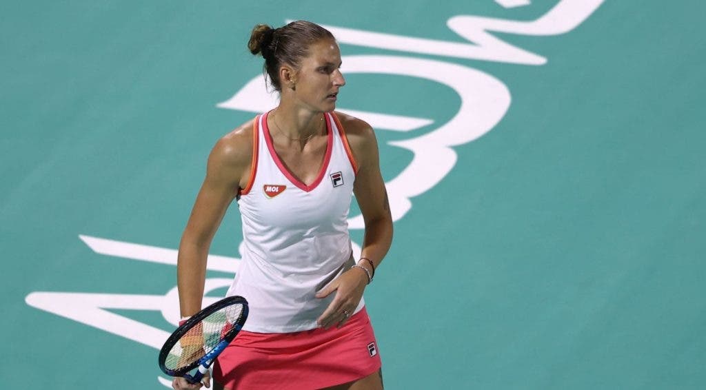 pliskova-abudhabi