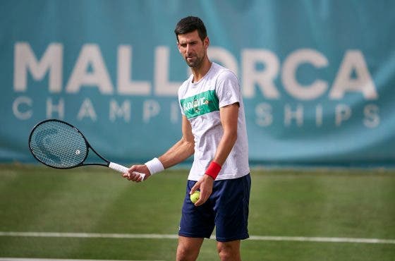 Djokovic, Nadal, Alcaraz e Raducanu todos confirmados no mesmo torneio na próxima semana