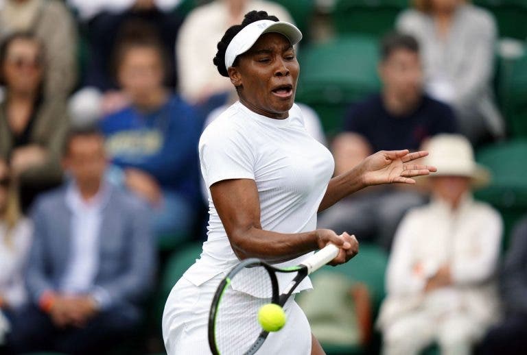 Ela vem aí! Venus Williams regressa 10 meses depois e vai jogar pares mistos em Wimbledon