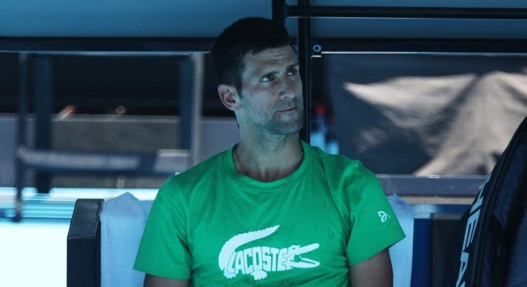 Wilander em choque: «A carreira de Djokovic está em risco»