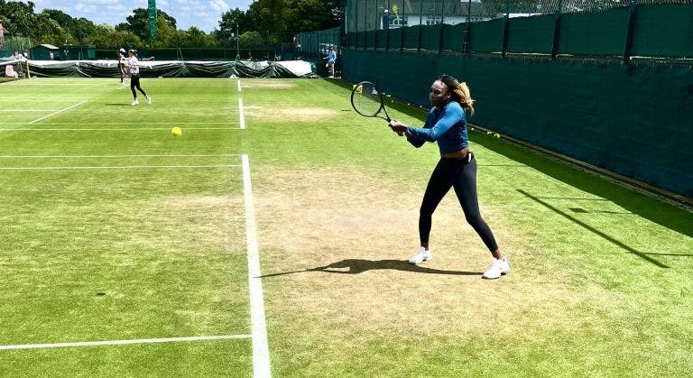 Será que joga? Venus está a treinar em Wimbledon e pode entrar em ação nos pares mistos