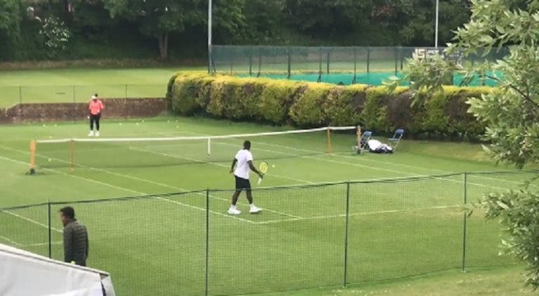 [VÍDEO] Serena Williams treinou com Tiafoe em Eastbourne