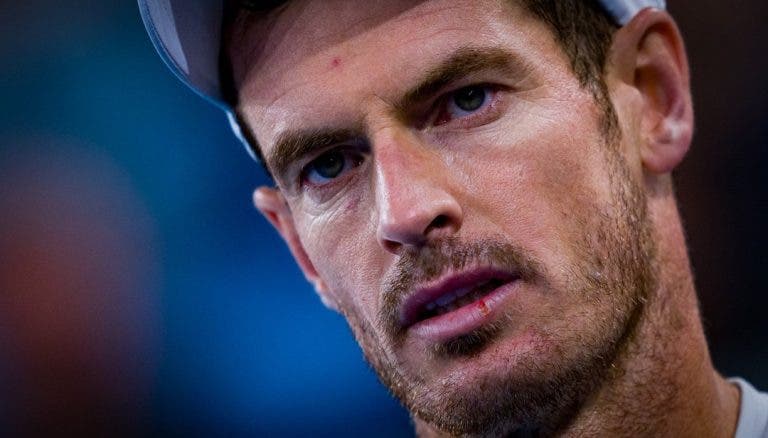 Murray radiante com triunfo sem drama em Indian Wells: «Até durmo melhor»