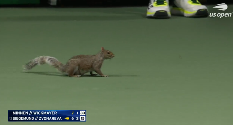 [VÍDEO] Encontro no US Open é interrompido por causa de… um esquilo