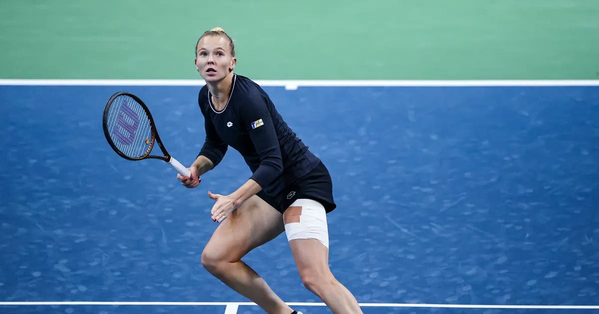 siniakova nanchang