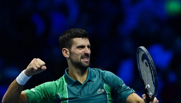 Djokovic claro aos 36 anos: «Se vencer a Davis será a minha melhor época de sempre»