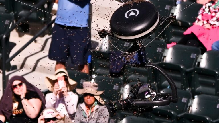 Invasão de abelhas suspende duelo entre Alcaraz e Zverev em Indian Wells