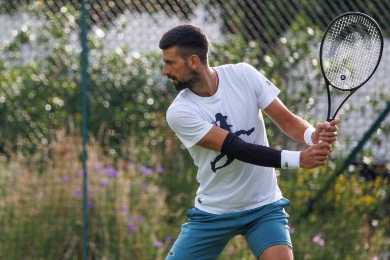 Fritz explica recuperação de Djokovic para Wimbledon: «Não é surpreendente de todo»