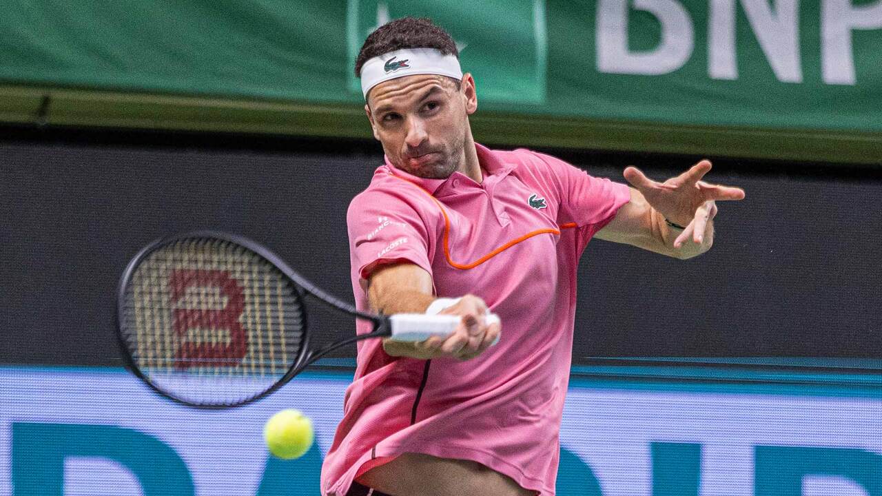 dimitrov estocolmo