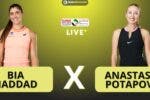 Bia Haddad Potapova ao vivo