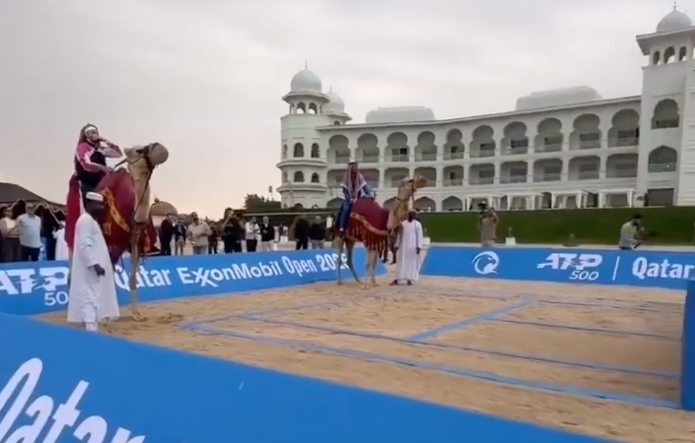 [VÍDEO] Alcaraz, Djokovic, Dimitrov e Tsitsipas jogaram ténis em cima de… camelos