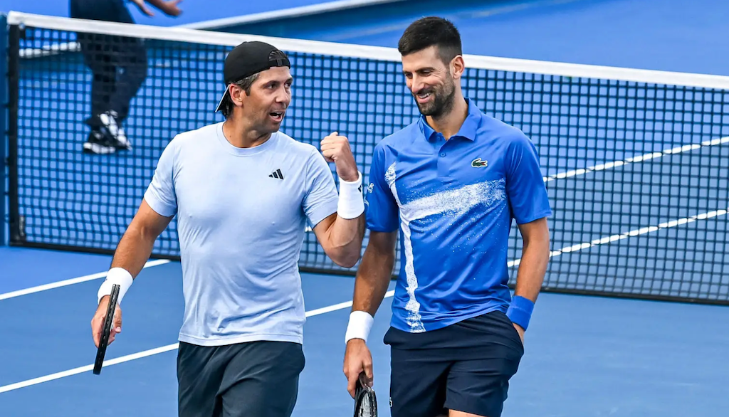 Verdasco-Djokovic