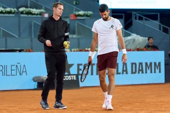Murray: «Não estou seguro de que tenha desfrutado treinar o Djokovic»