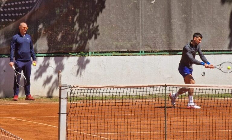 Djokovic treina em Belgrado com possível sucessor de Murray