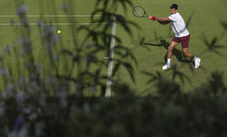 Djokovic já chegou a Wimbledon para atacar o histórico oitavo título