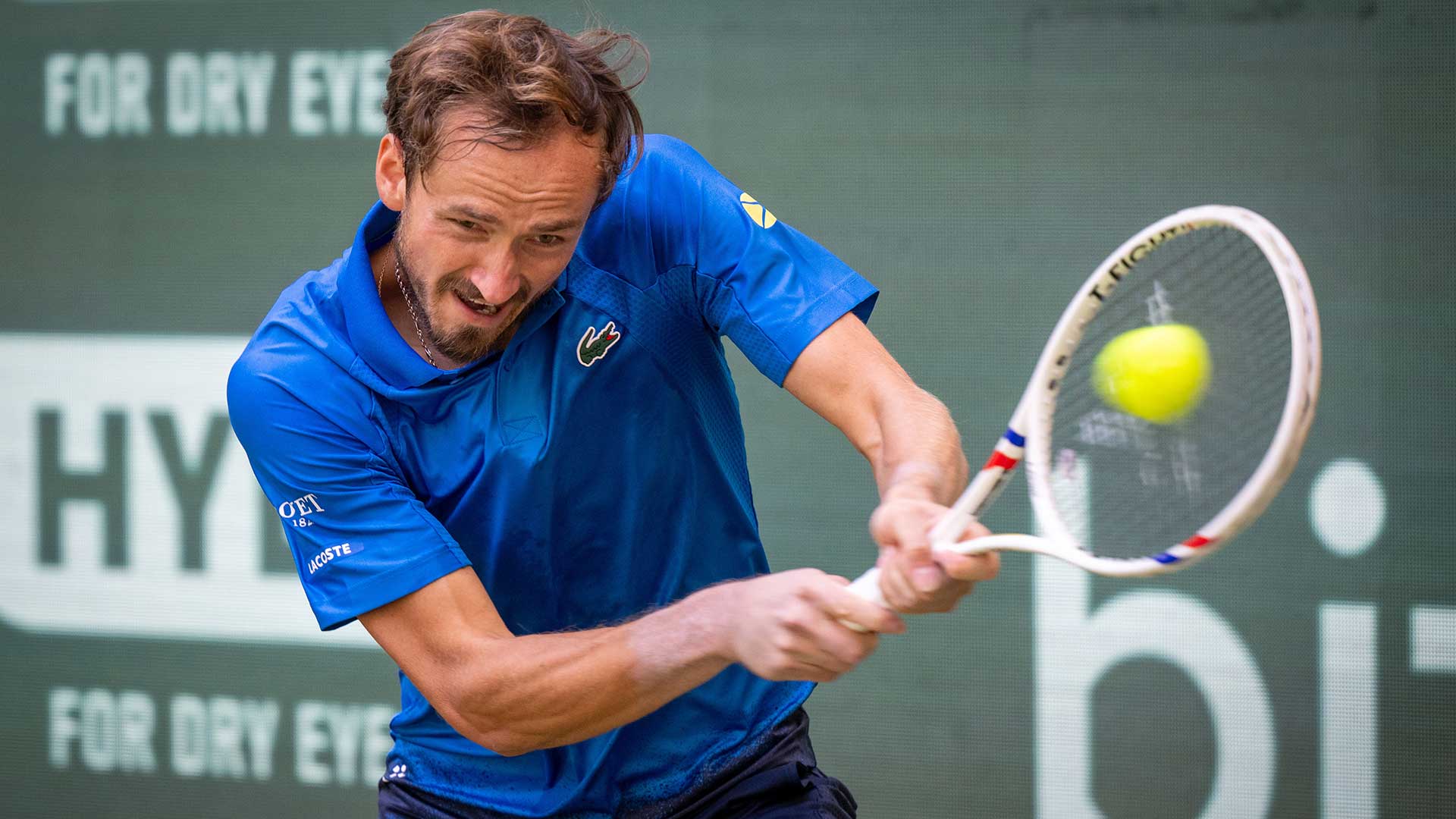 medvedev-halle