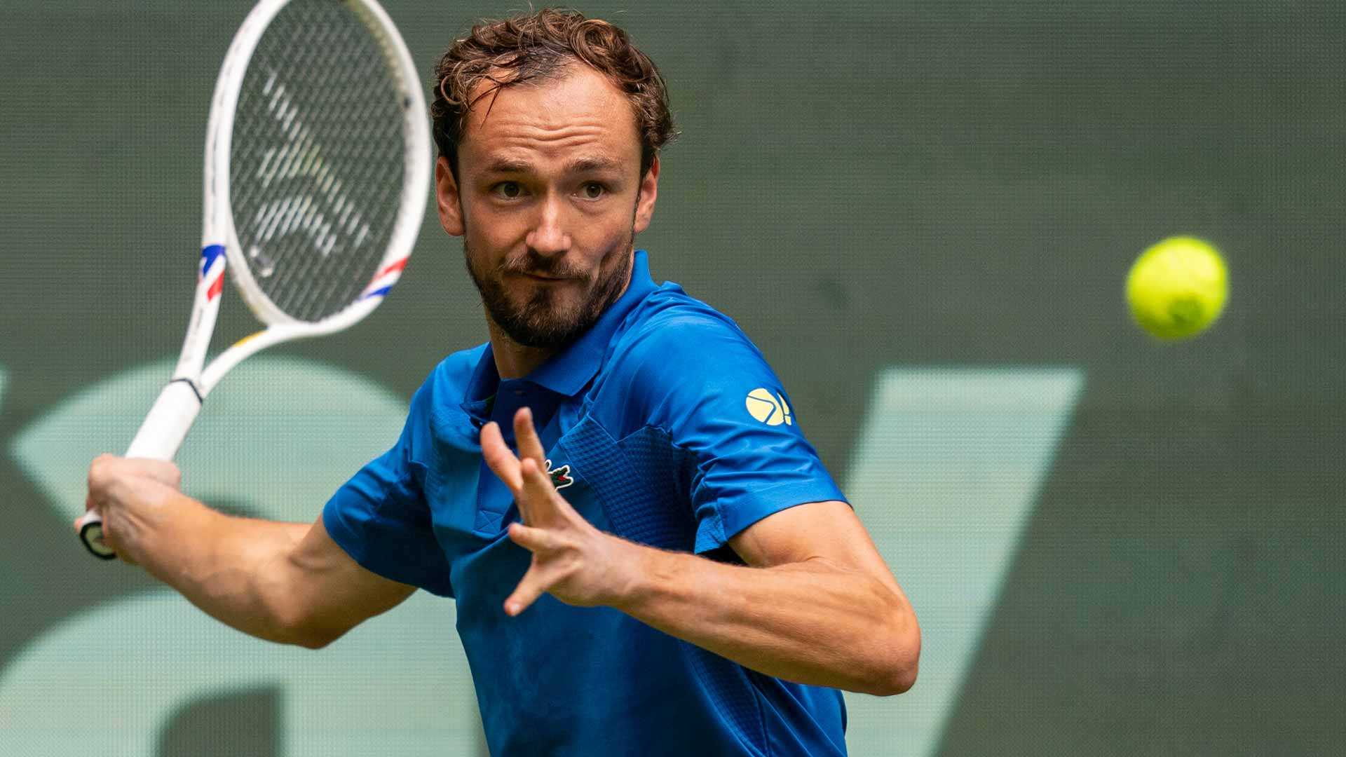 medvedev halle