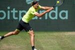 zverev-halle