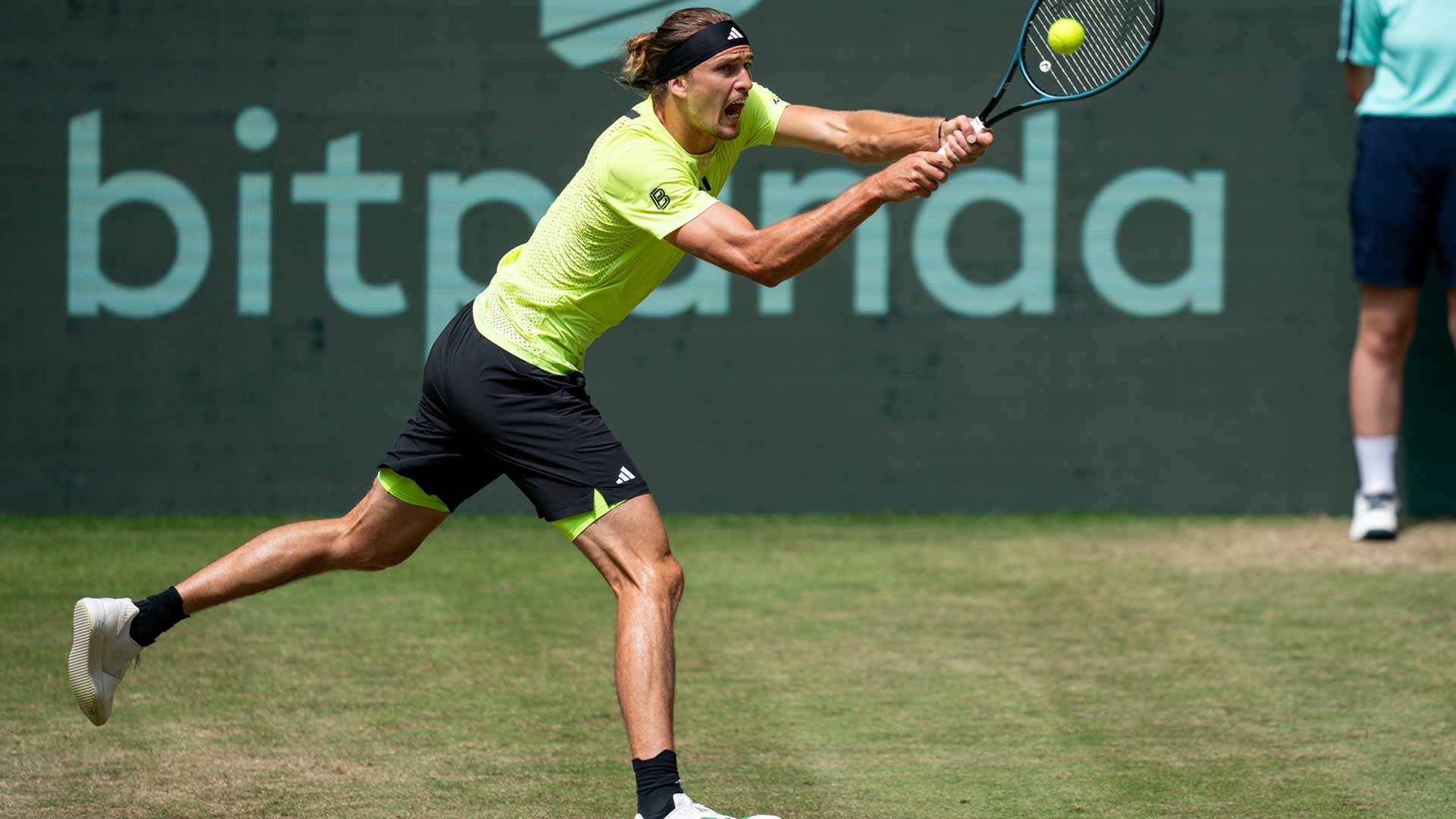 zverev-halle