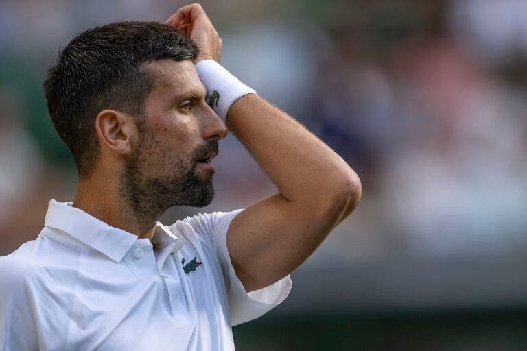 Djokovic bate o recorde desde o sofá: 808 semanas entre os quatro melhores