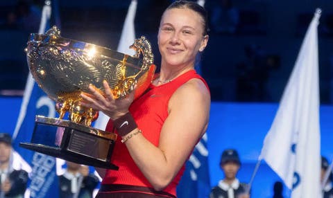 anisimova