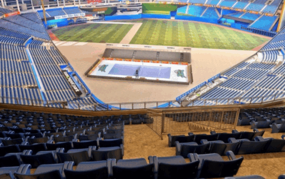 Eis o (estranho) court para a exibição de Alcaraz vs. Fonseca em Miami