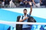 Da bonita conversa à rede com Alcaraz à arrepiante ovação: Djokovic saiu assim do US Open